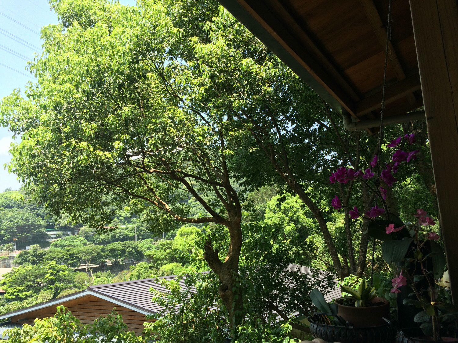 台北內湖。茗穀屋 || 秘境裡的烘培坊,看著山色美景吃豆花、買麵包 - 第3張圖