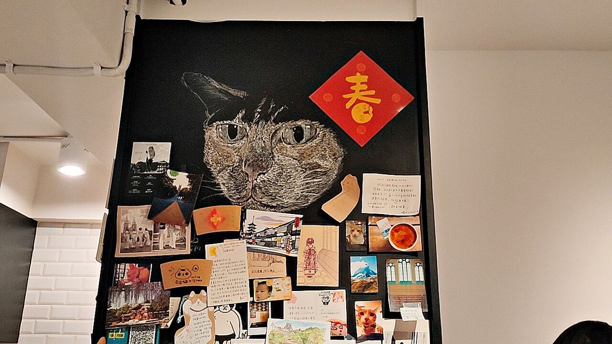 大安區不限時咖啡 貓圖咖啡 淡定貓店長貝貝,大人系微醺特調咖啡 潮州街安靜辦公推薦 - 第6張圖 大安區不限時咖啡 貓圖咖啡 淡定貓店長貝貝,大人系微醺特調咖啡 潮州街安靜辦公推薦