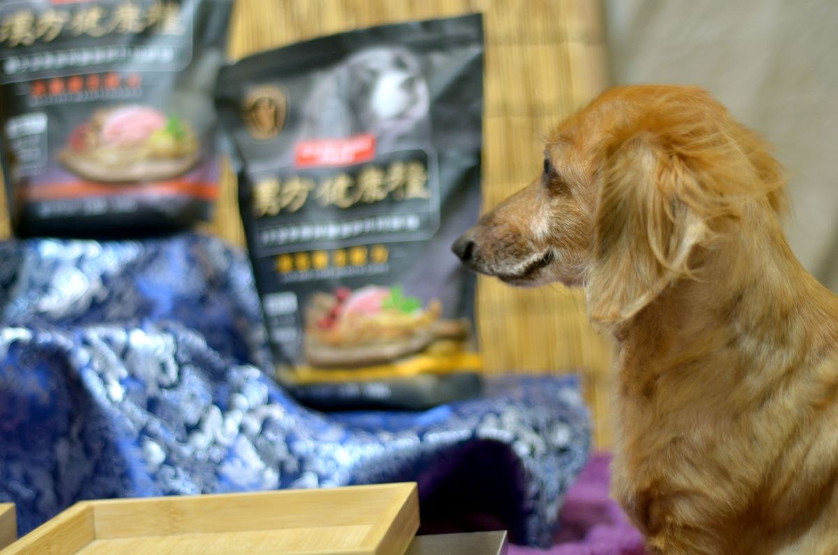 寵物開箱。漢方食補 || 毛孩日常滋補超方便。關健時刻與順天堂集團為毛孩打造的養生狗糧 - 第3張圖