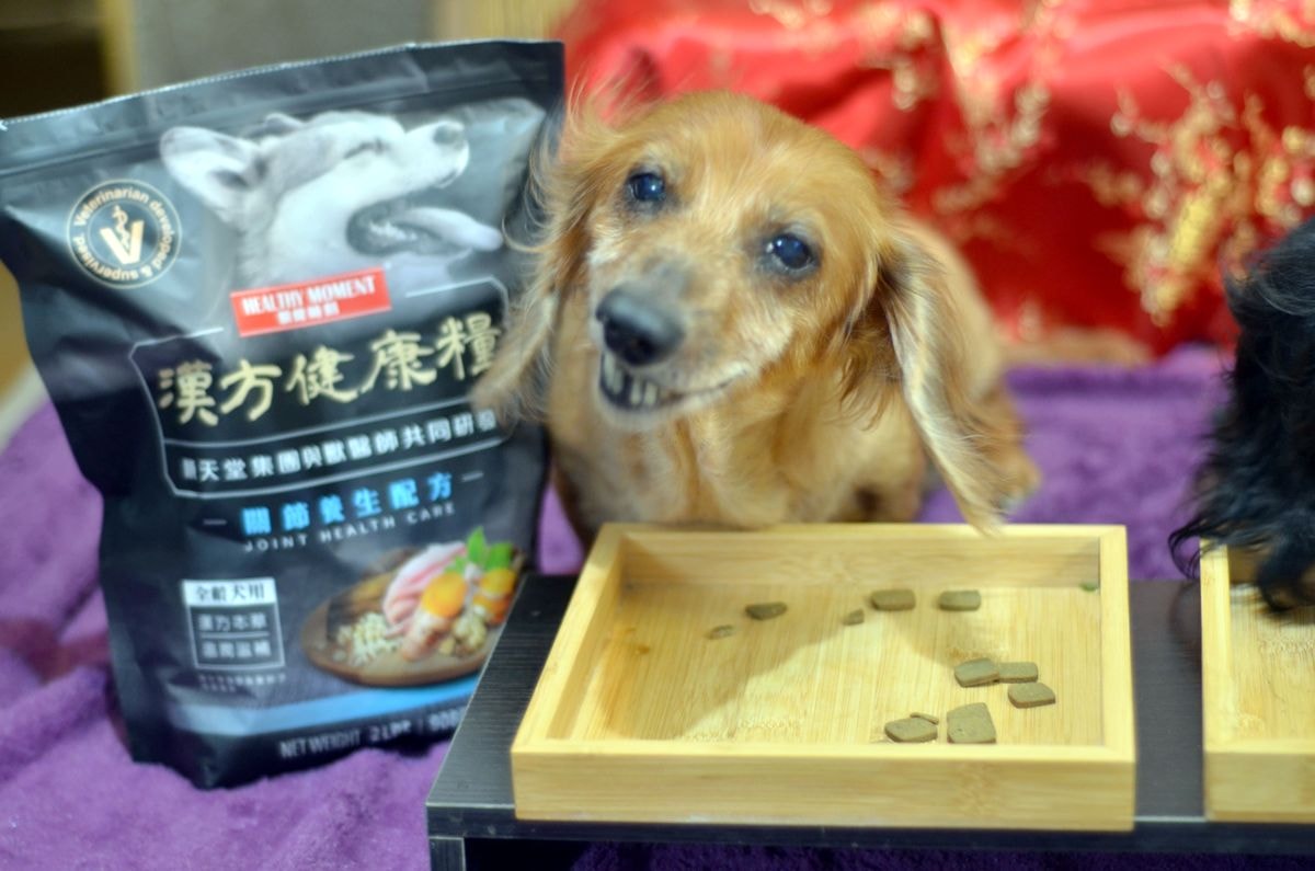 寵物開箱。漢方食補 || 毛孩日常滋補超方便。關健時刻與順天堂集團為毛孩打造的養生狗糧 - 第1張圖