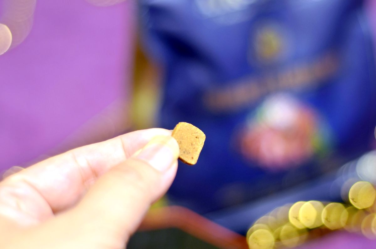 寵物開箱。Herz赫緻美饌 || 專為挑嘴犬設計的低溫風乾糧。三種口味樣樣美味,原肉塊狗乾糧開箱-嫩雞佐頂級鴨肝/嫩羊佐頂級鴨肝/嫩牛佐頂級鴨肝 - 第7張圖