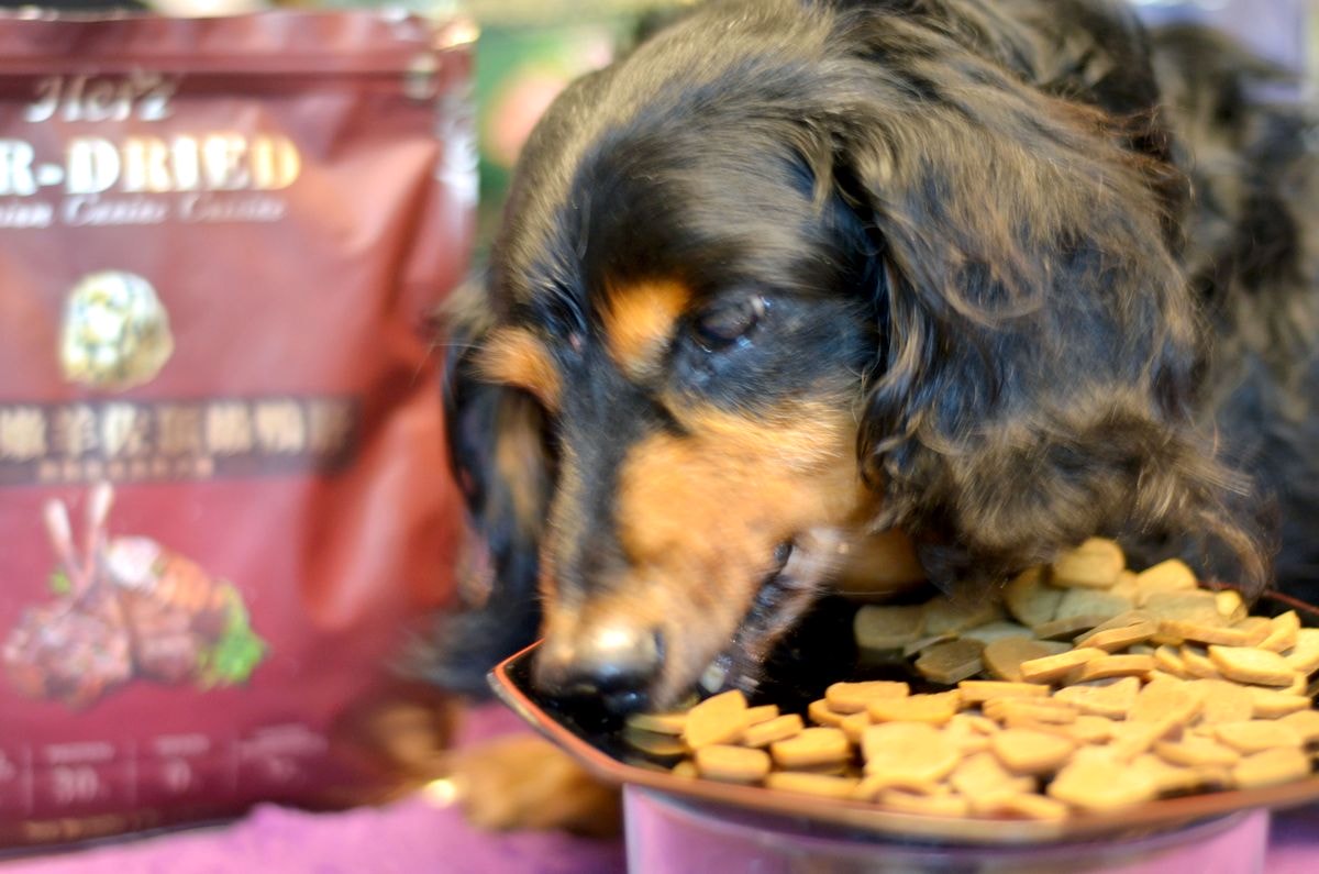 寵物開箱。Herz赫緻美饌 || 專為挑嘴犬設計的低溫風乾糧。三種口味樣樣美味,原肉塊狗乾糧開箱-嫩雞佐頂級鴨肝/嫩羊佐頂級鴨肝/嫩牛佐頂級鴨肝 - 第9張圖