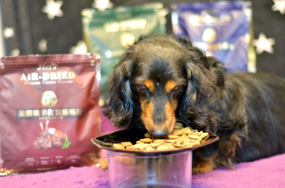 寵物開箱。Herz赫緻美饌 || 專為挑嘴犬設計的低溫風乾糧。三種口味樣樣美味,原肉塊狗乾糧開箱-嫩雞佐頂級鴨肝/嫩羊佐頂級鴨肝/嫩牛佐頂級鴨肝 - 第12張圖