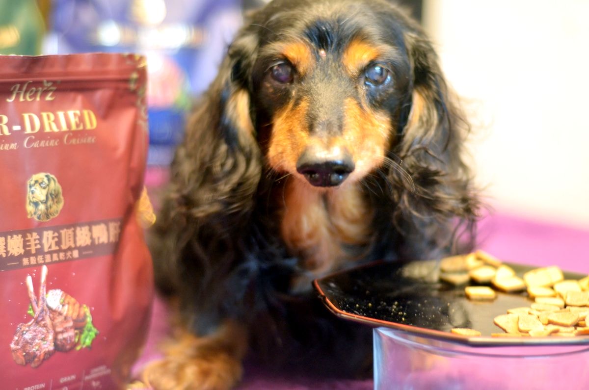 寵物開箱。Herz赫緻美饌 || 專為挑嘴犬設計的低溫風乾糧。三種口味樣樣美味,原肉塊狗乾糧開箱-嫩雞佐頂級鴨肝/嫩羊佐頂級鴨肝/嫩牛佐頂級鴨肝 - 第1張圖