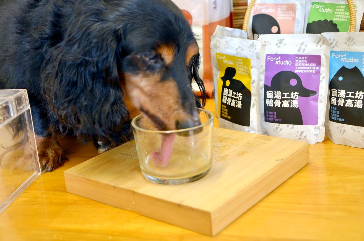挑食狗狗救星 Summit10 森咪特無穀主食糧 x Food Studio 寵湯工坊餐包 實際開箱 - 第8張圖
