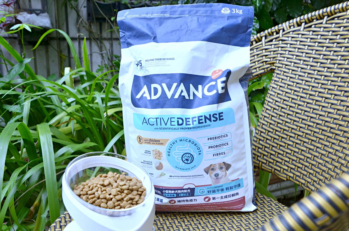 Advance 愛旺斯 臘腸狗也愛的天然肉香與清爽配方,來自西班牙的優質犬糧分享 - 第6張圖