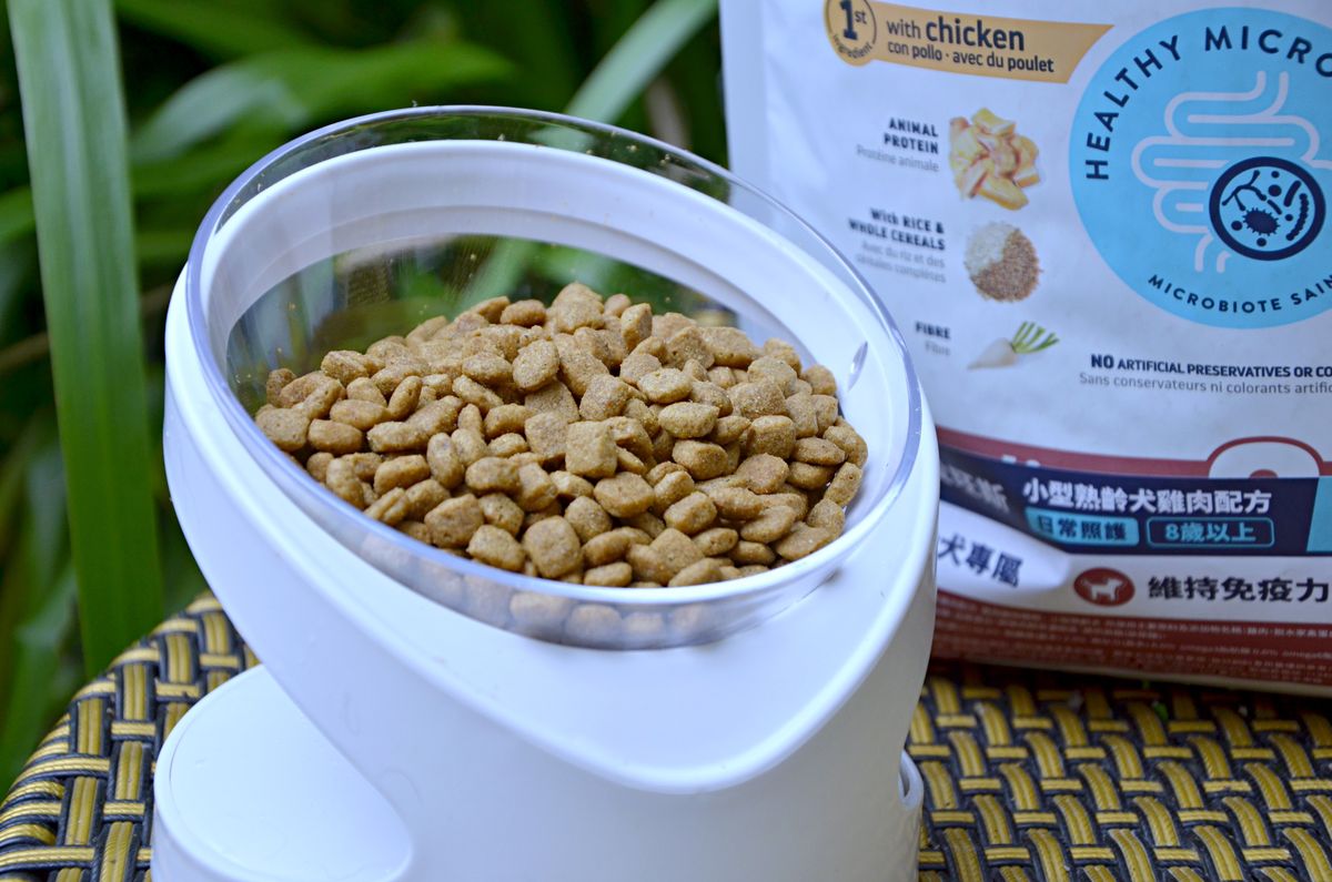 Advance 愛旺斯 臘腸狗也愛的天然肉香與清爽配方,來自西班牙的優質犬糧分享 - 第3張圖