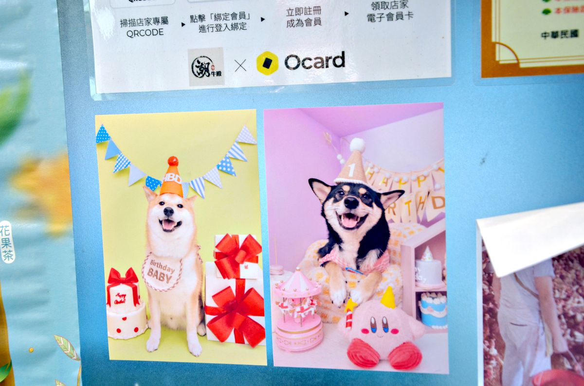 松山區美食 潮牛殿溫體牛創意鍋物 雲月見牛飯超銷魂 厚白牛骨湯頭溫潤 手沖溫體牛嫩度滿分 - 第24張圖 松山區美食 潮牛殿溫體牛創意鍋物 雲月見牛飯超銷魂 厚白牛骨湯頭溫潤 手沖溫體牛嫩度滿分