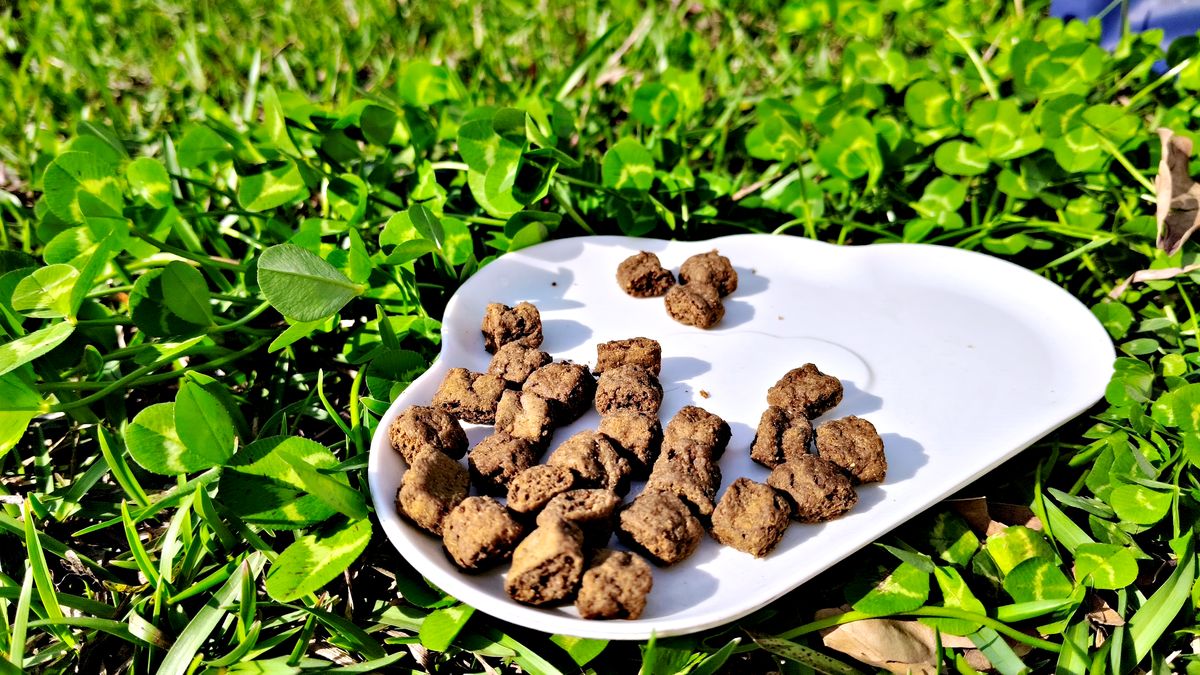 Ziwi Peak評價分享 紐西蘭滋益巔峰微蒸熟成乾糧開箱，給愛吃毛孩的鮮肉饗宴