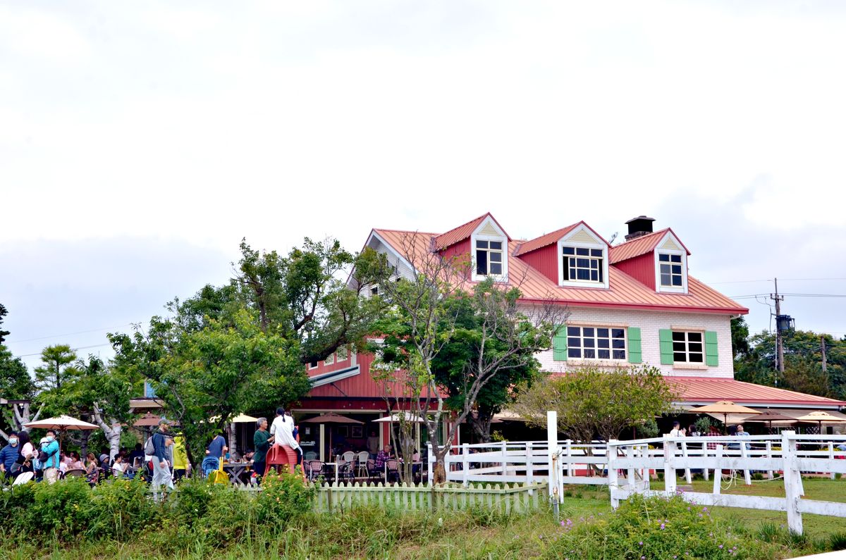 北海岸寵物友善餐廳推薦 三芝牛仔莊園1700坪美式西部牧場,毛孩與迷你馬近距離對望的新奇體驗 - 第3張圖 牛仔莊園-1700坪牧場草地馬兒戶外空間-三芝北海岸景觀餐廳