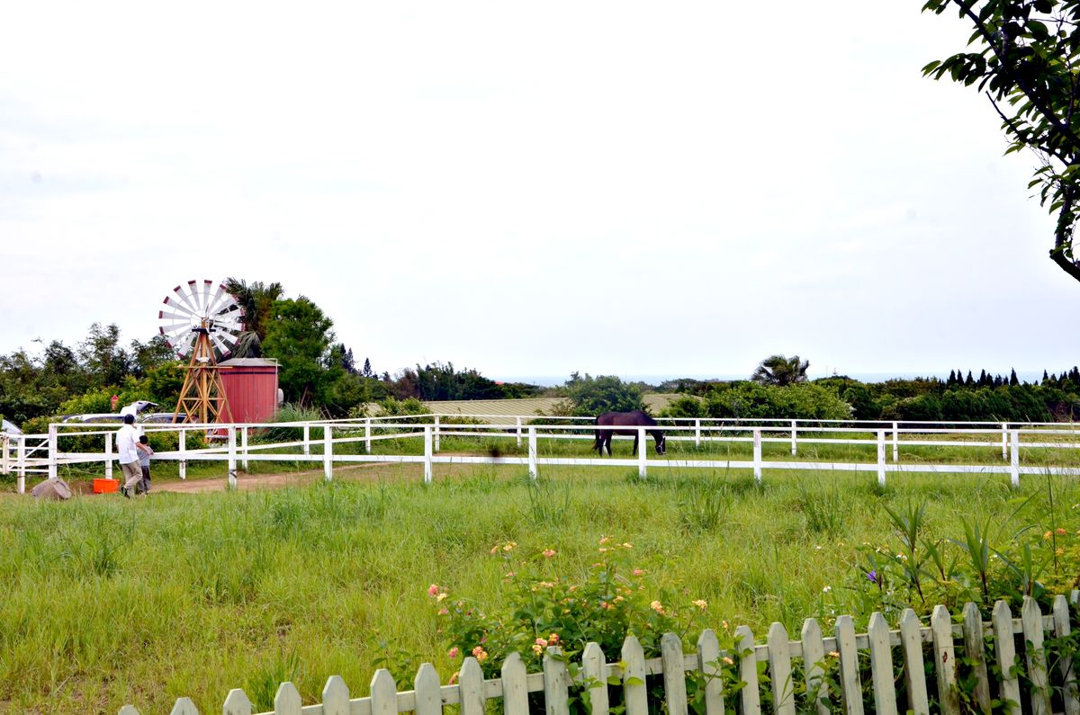 北海岸寵物友善餐廳推薦 三芝牛仔莊園1700坪美式西部牧場,毛孩與迷你馬近距離對望的新奇體驗 - 第28張圖 牛仔莊園-園區各造景角落慢遊氛圍一覽-三芝北海岸一日遊景點