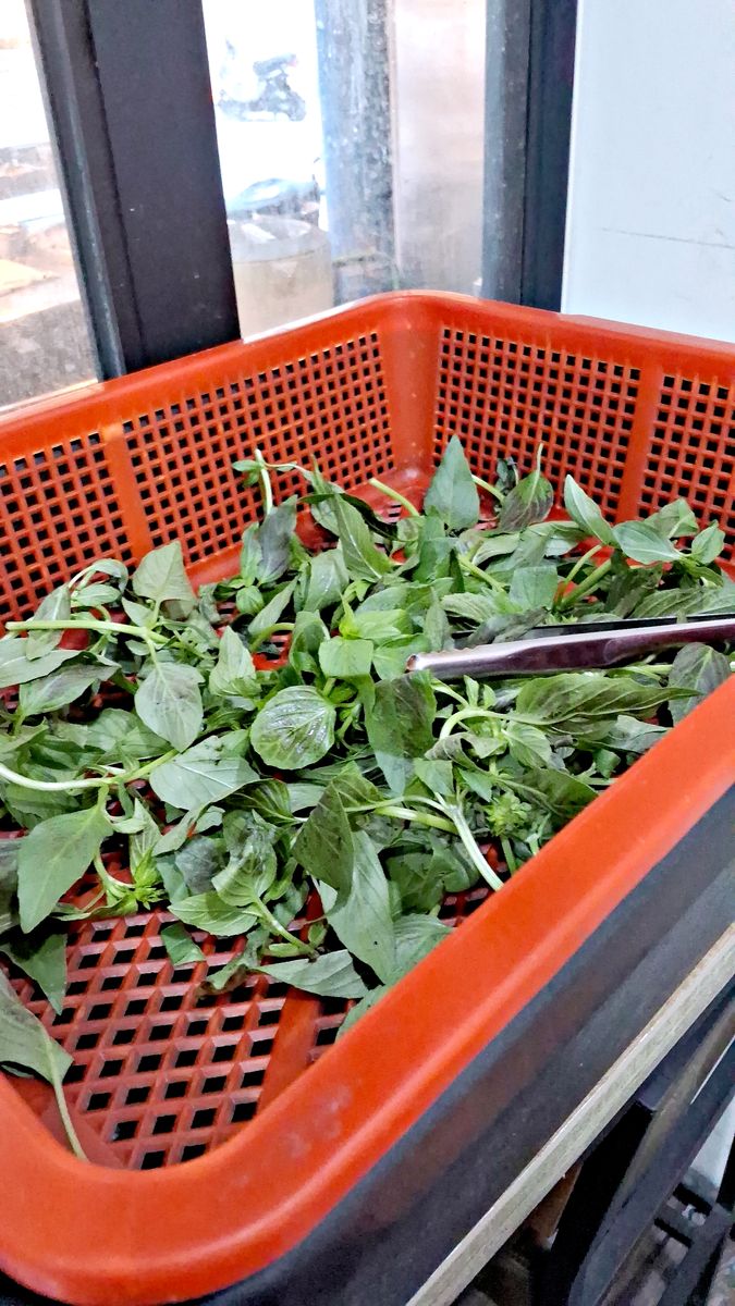 新店美食推薦 三重橋頭蚵仔麵線 光明街清晨五點的在地早餐選擇 - 第6張圖 新店美食推薦 三重橋頭蚵仔麵線 光明街清晨五點的在地早餐選擇