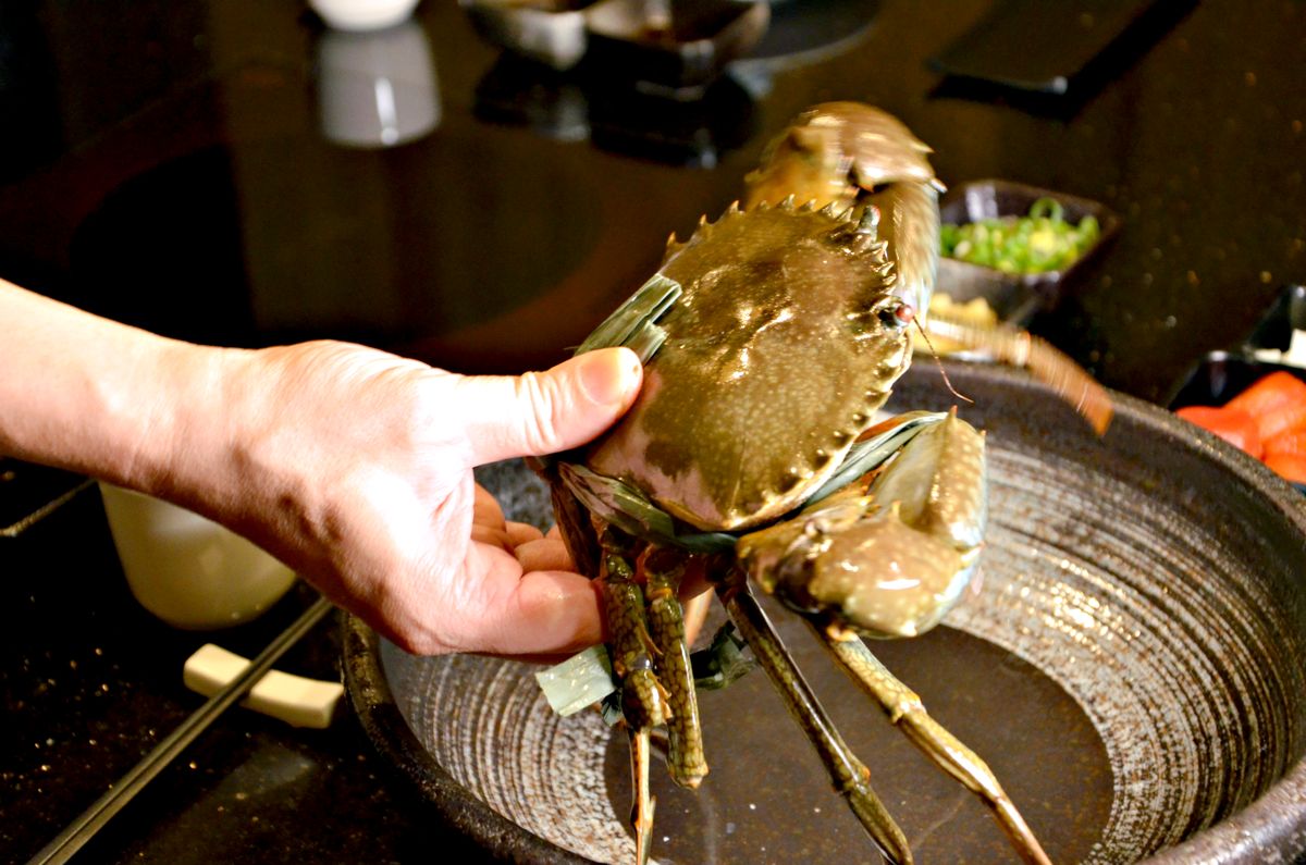 台北大安區美食 囍聚精緻鍋物 台北活體海鮮火鍋推薦 桌邊剝蟹貼心服務 帶長輩聚餐慶生首選 - 第7張圖 台北大安區美食 囍聚精緻鍋物 台北活體海鮮火鍋推薦 桌邊剝蟹貼心服務 帶長輩聚餐慶生首選