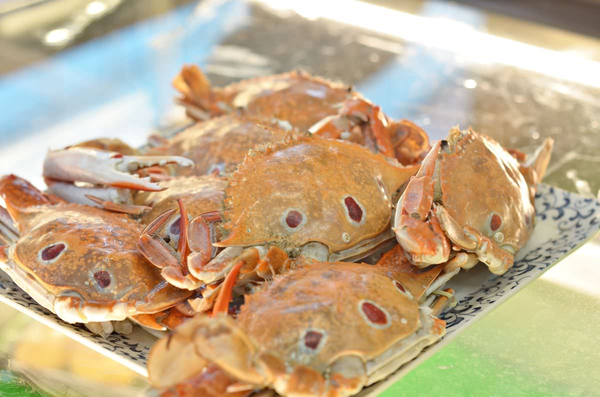 新北板橋區。大家樂鮮魚舖 || 用尚青的海鮮與實惠價格直球對決吃貨們的胃。板橋江子翠丼飯這碗超澎派 - 第26張圖