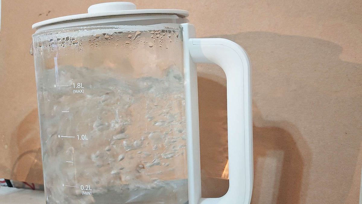 吃貨開箱。富士電通溫控萬用隨行小白壺 || 內建14種智能溫控模式的高顏值快煮壺,料理小白也能輕鬆搞定料理及飲品 - 第2張圖