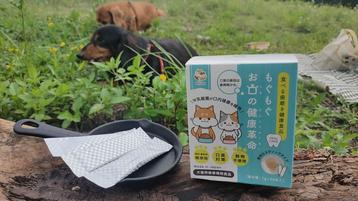 寵物開箱。嚼嚼口腔の健康革命 || 拌一拌嚼一嚼,毛孩口腔沒煩惱 - 第7張圖