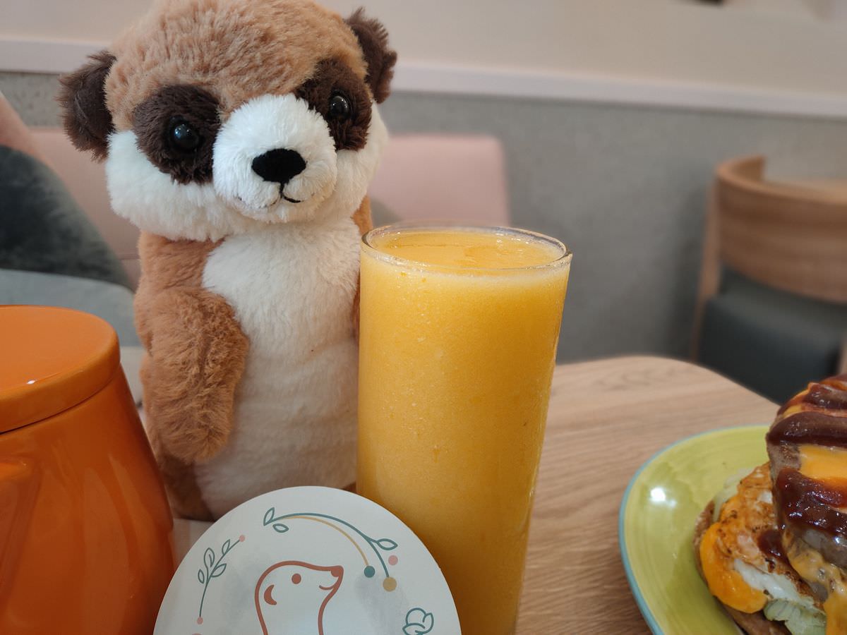 台北松山區。Meerkat75 Café – 75度獴主題餐廳 || 與超萌狐獴近距離互動下午茶 - 第35張圖