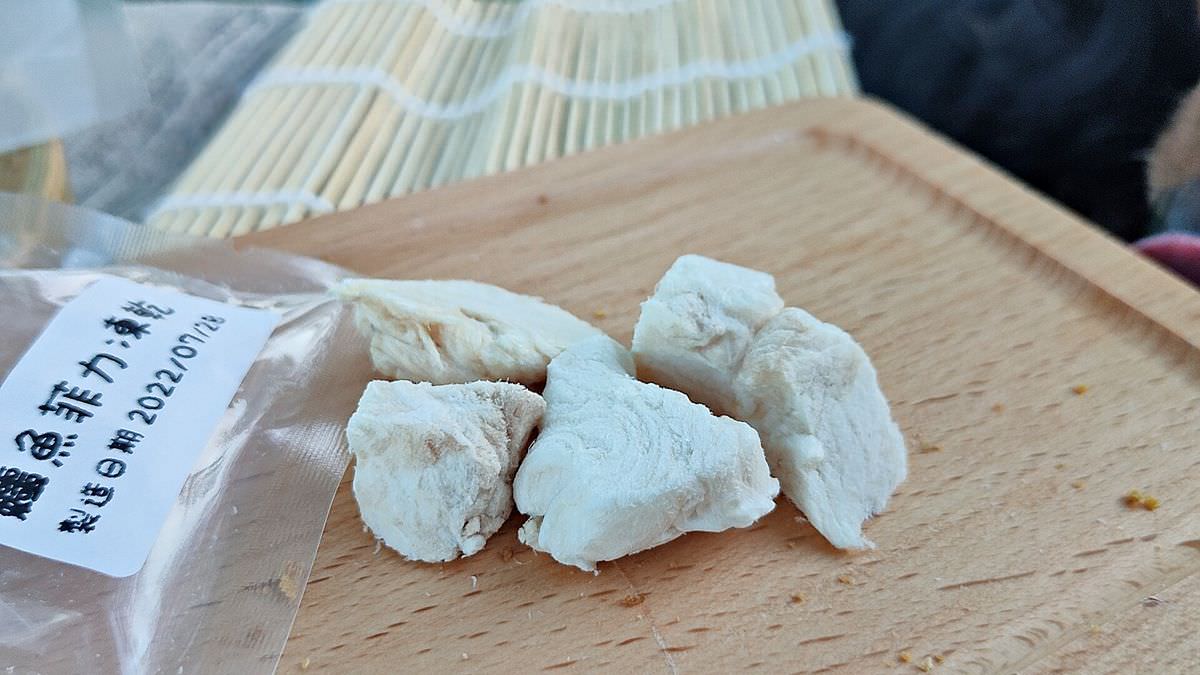 寵物開箱。外星變形貓寵物零食專賣 || 毛小孩們最獵奇的零食開箱趣 - 第7張圖