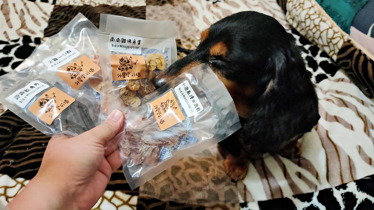 寵物開箱。外星變形貓寵物零食專賣 || 毛小孩們最獵奇的零食開箱趣 - 第13張圖
