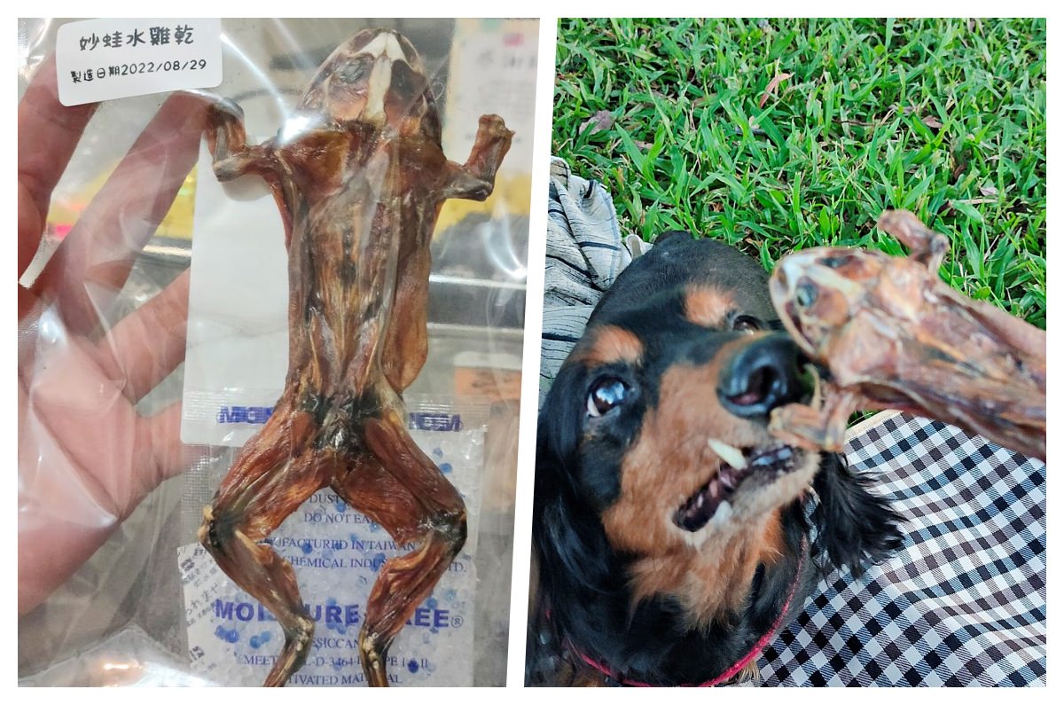寵物開箱。外星變形貓寵物零食專賣 || 毛小孩們最獵奇的零食開箱趣 - 第3張圖