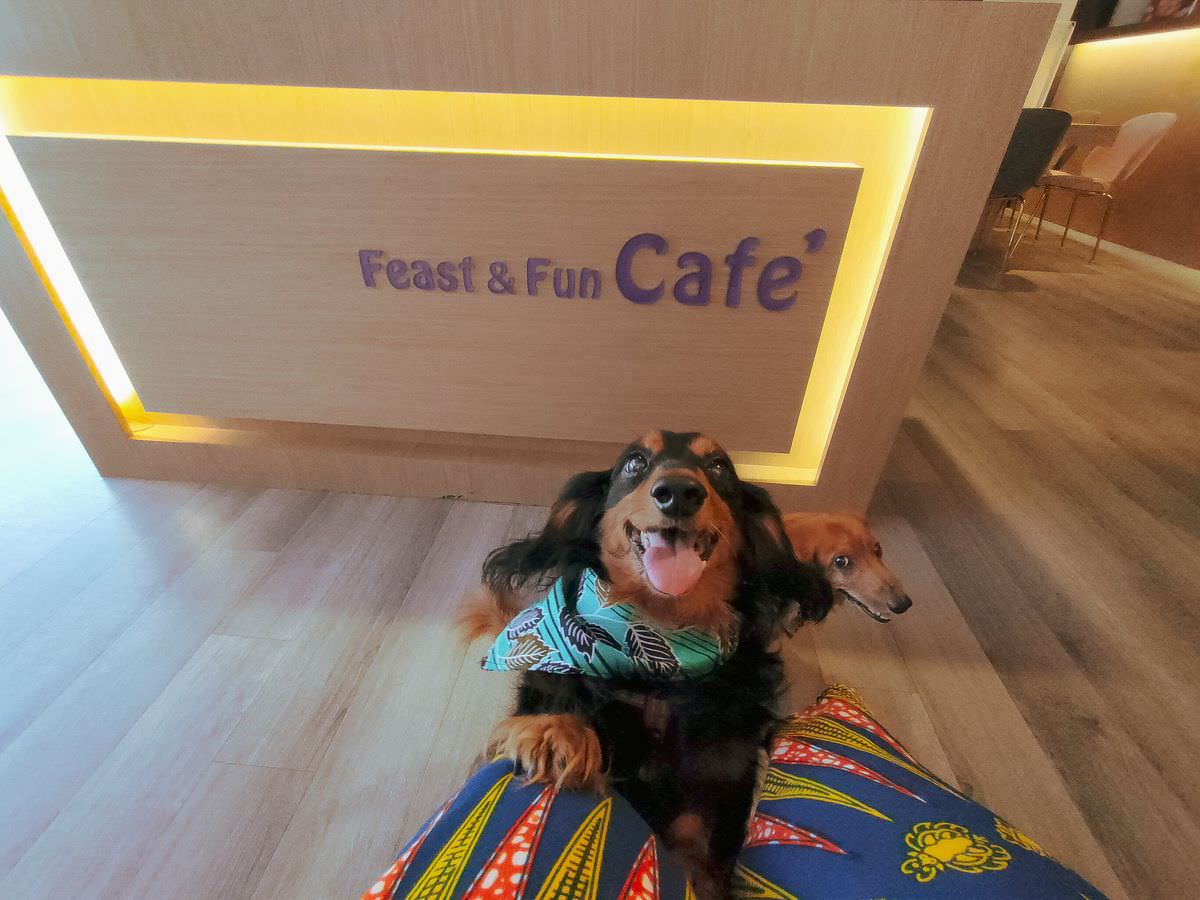 台北大安區。饗樂餐廳 Feast &Fun || 一間讓你樂食清爽新美式料理與療癒系甜點的寵物友善餐廳 - 第39張圖