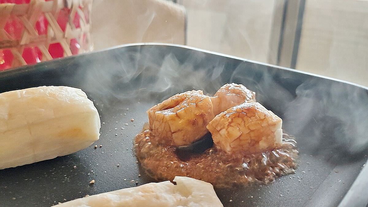 吃貨開箱。聯夏食品hana松阪麻糬/日式麻糬 || 隨時都可輕鬆料理的日式點心,好吃又好玩 - 第20張圖