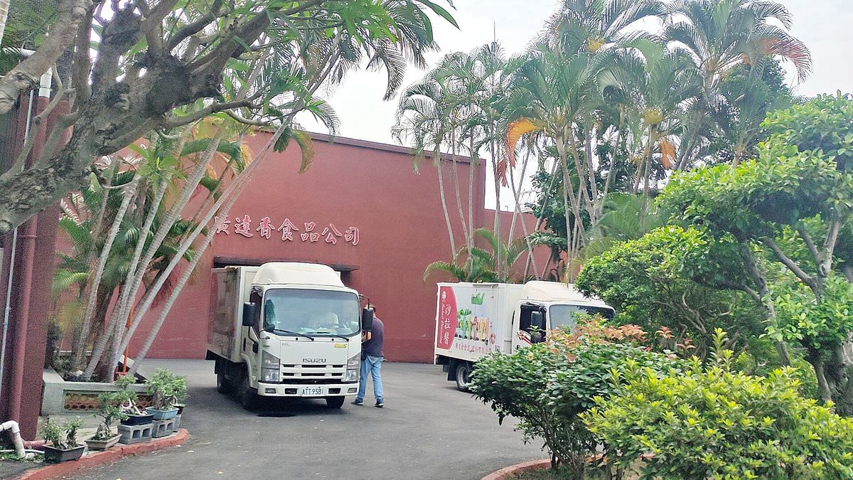 吃貨開箱。廣達香沙拉醬 || 五款百搭靈魂醬料,讓美味料理更加分 - 第2張圖