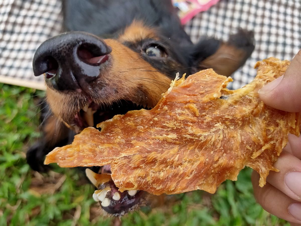 寵物開箱。怪獸部落OK軟骨素 || 讓狗狗歡樂的蹦蹦跳跳每一天,寵物關節保養的好幫手 - 第2張圖