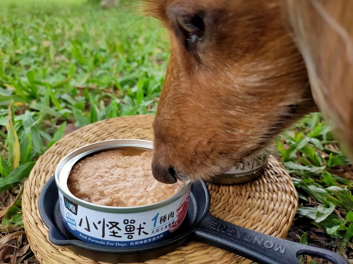 寵物開箱。怪獸部落OK軟骨素 || 讓狗狗歡樂的蹦蹦跳跳每一天,寵物關節保養的好幫手 - 第6張圖