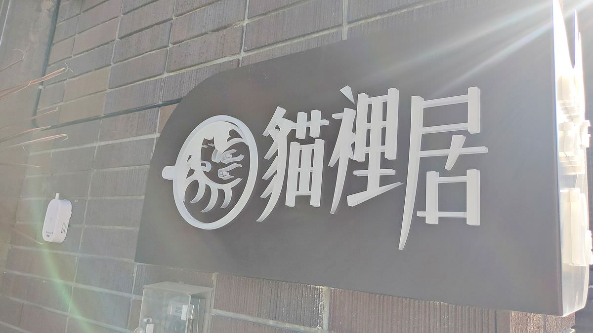 新北林口。貓裡居 || 享受被貓貓包圍與美味甜點的悠閒食光 - 第47張圖