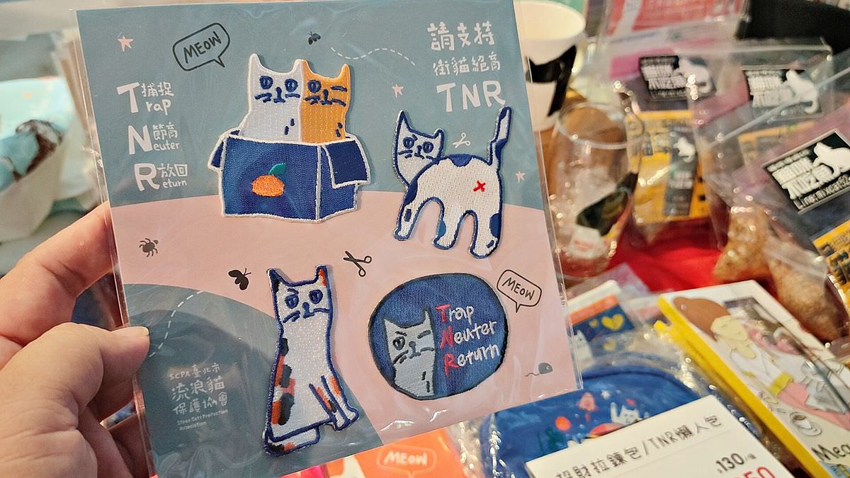 台北松煙。2022臺北喵嗚季-綠藝派對 || 讓貓奴們一站補足滿滿喵能量 - 第13張圖