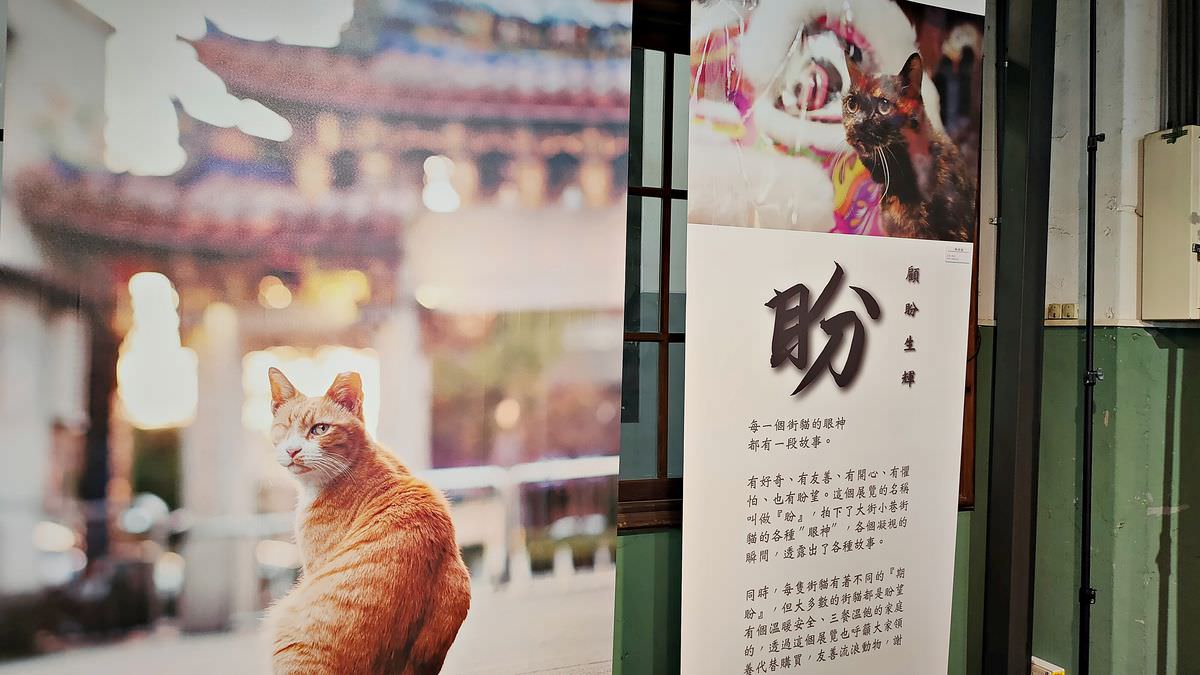台北松煙。2022臺北喵嗚季-綠藝派對 || 讓貓奴們一站補足滿滿喵能量 - 第6張圖