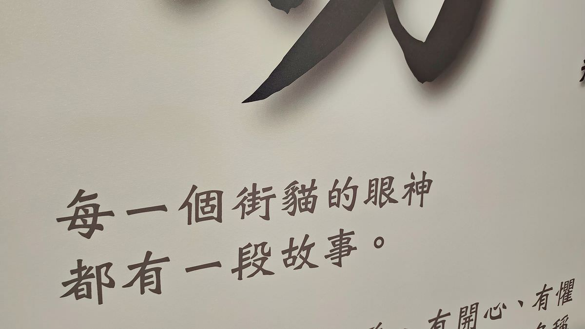 台北松煙。2022臺北喵嗚季-綠藝派對 || 讓貓奴們一站補足滿滿喵能量 - 第7張圖