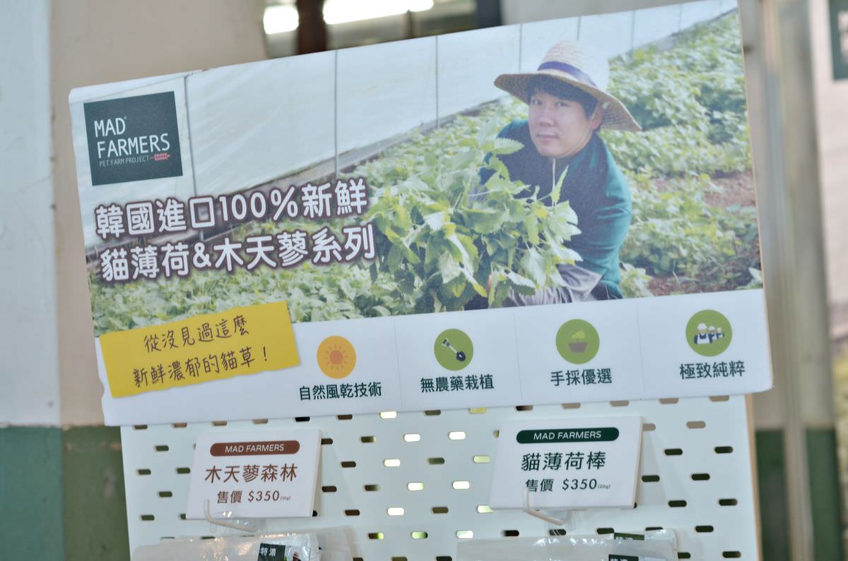 台北松煙。2022臺北喵嗚季-綠藝派對 || 讓貓奴們一站補足滿滿喵能量 - 第19張圖