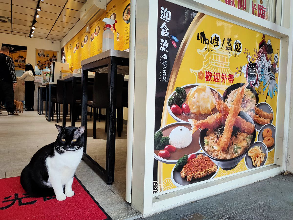 新北新店區。迎食流咖哩/蓋飯 || 貓奴必訪11只貓店長的日式咖哩店。大坪林站2號出口一分鐘就到 - 第27張圖