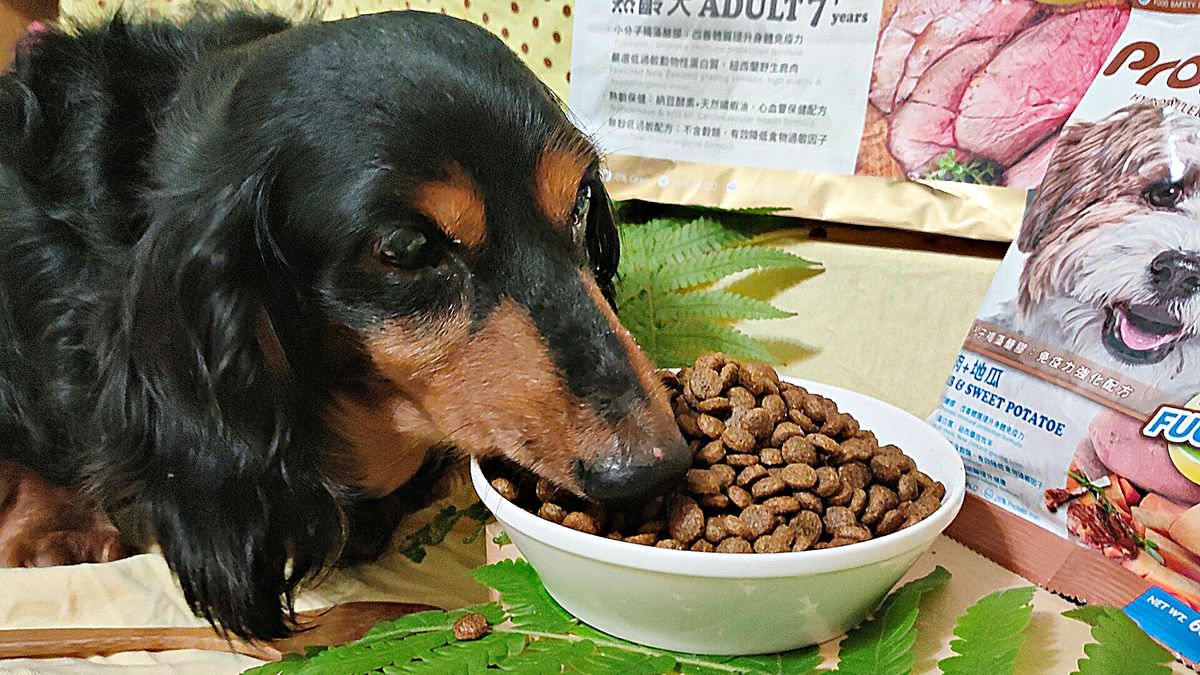 寵物開箱。博士巧思 Pro’s choice 純淨無穀低敏犬貓食 || 7⁺熟齡犬專屬乾乾。紐西蘭野生鹿肉好好吃 - 第5張圖