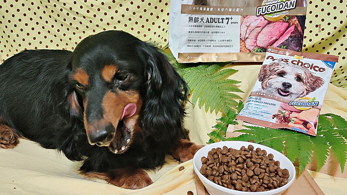 寵物開箱。博士巧思 Pro’s choice 純淨無穀低敏犬貓食 || 7⁺熟齡犬專屬乾乾。紐西蘭野生鹿肉好好吃 - 第6張圖